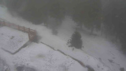 Přístup na běžeckou trať