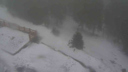 Přístup na běžeckou trať