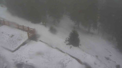 Přístup na běžeckou trať