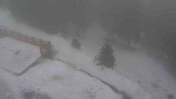 Přístup na běžeckou trať