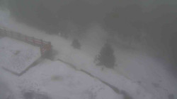 Přístup na běžeckou trať