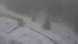 Přístup na běžeckou trať