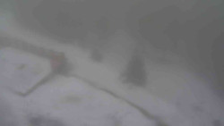 Přístup na běžeckou trať