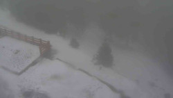 Přístup na běžeckou trať