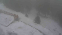 Přístup na běžeckou trať