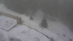 Přístup na běžeckou trať