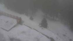 Přístup na běžeckou trať