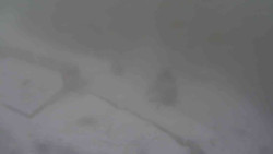 Přístup na běžeckou trať