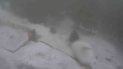 Přístup na běžeckou trať