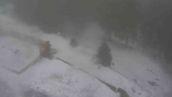 Přístup na běžeckou trať