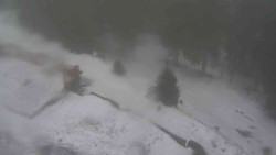 Přístup na běžeckou trať