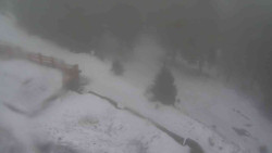 Přístup na běžeckou trať