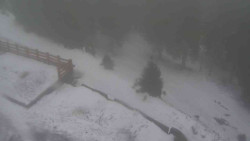 Přístup na běžeckou trať