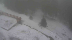 Přístup na běžeckou trať