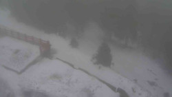 Přístup na běžeckou trať