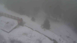 Přístup na běžeckou trať