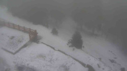 Přístup na běžeckou trať