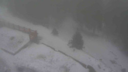 Přístup na běžeckou trať