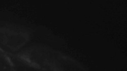 Přístup na běžeckou trať