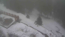 Přístup na běžeckou trať