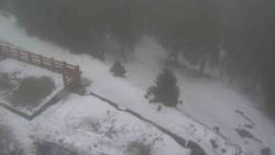 Přístup na běžeckou trať