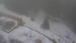 Přístup na běžeckou trať