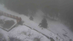 Přístup na běžeckou trať