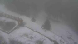 Přístup na běžeckou trať