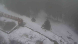 Přístup na běžeckou trať