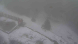 Přístup na běžeckou trať