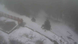 Přístup na běžeckou trať