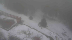 Přístup na běžeckou trať