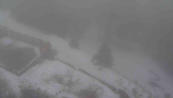 Přístup na běžeckou trať