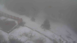 Přístup na běžeckou trať