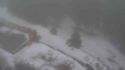 Přístup na běžeckou trať