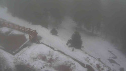 Přístup na běžeckou trať