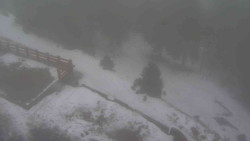 Přístup na běžeckou trať