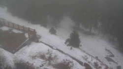 Přístup na běžeckou trať