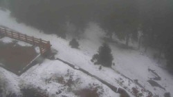 Přístup na běžeckou trať