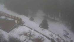 Přístup na běžeckou trať