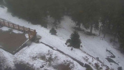 Přístup na běžeckou trať