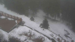 Přístup na běžeckou trať