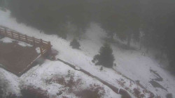 Přístup na běžeckou trať