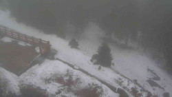 Přístup na běžeckou trať