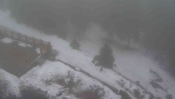 Přístup na běžeckou trať