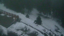 Přístup na běžeckou trať