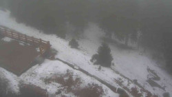 Přístup na běžeckou trať