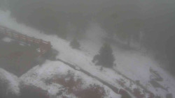 Přístup na běžeckou trať