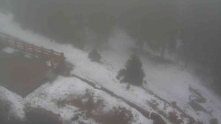 Přístup na běžeckou trať