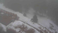 Přístup na běžeckou trať